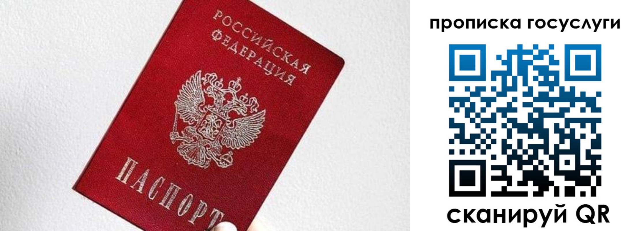 прописка законно в Владимирской области